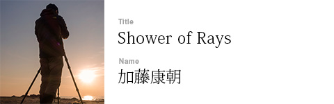 加藤康朝