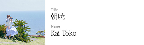 Kai Toko