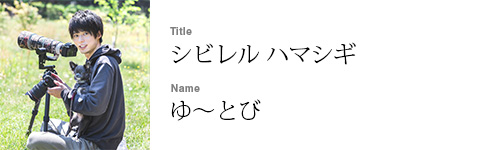 ゆ〜とび