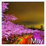 5月