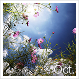 10月