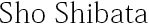 Sho Shibata