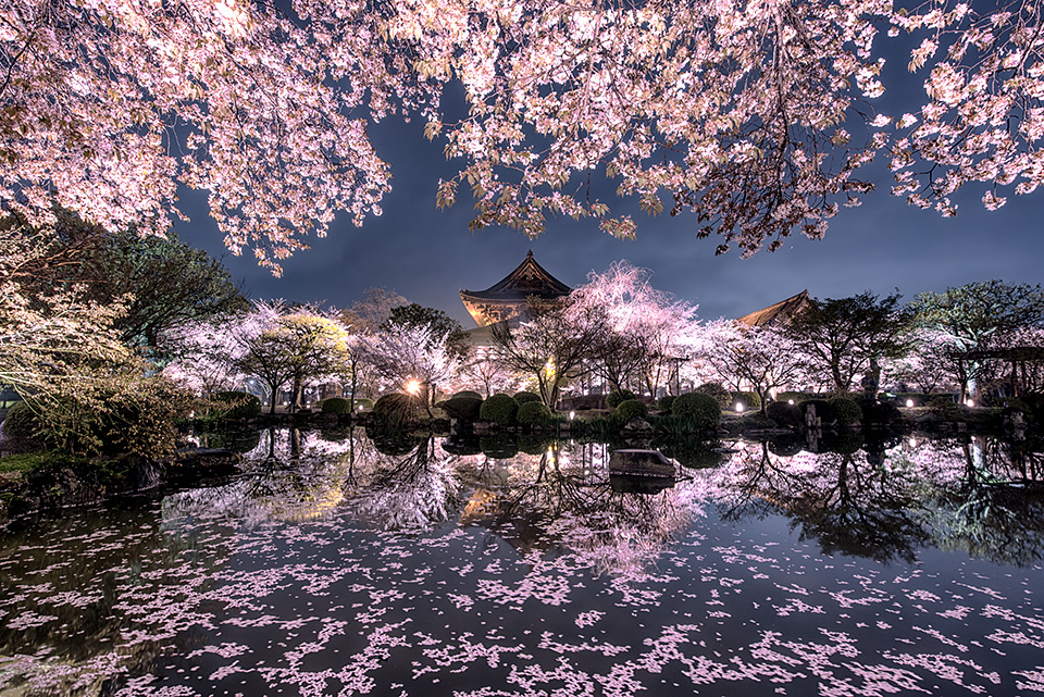 東京カメラ部10選 別所隆弘氏「翼を得たカメラ：ドローンが見せる新しい写真の世界」